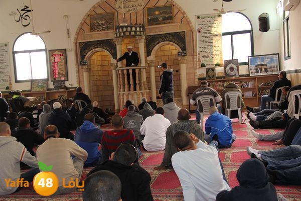 jarhoshuy msajed 0110 (1).JPG